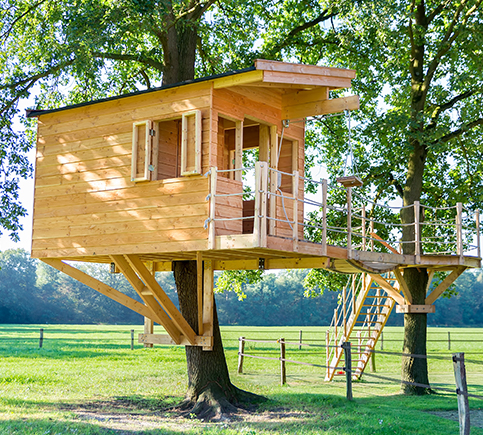 Treehouse for the kids